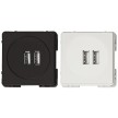 Modulis - dvigubas USB kroviklis